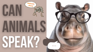 hippo wearing glasses